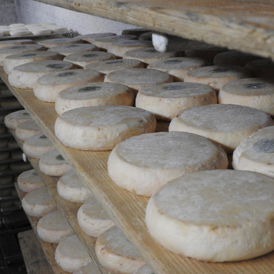 European Raw Milk Ban